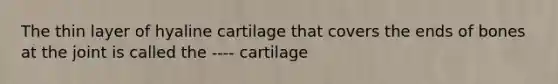 The thin layer of hyaline cartilage that covers the ends of bones at the joint is called the ---- cartilage