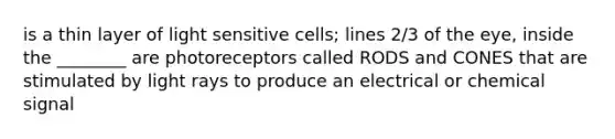 is a thin layer of light sensitive cells; lines 2/3 of the eye, inside the ________ are photoreceptors called RODS and CONES that are stimulated by light rays to produce an electrical or chemical signal