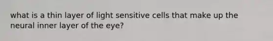 what is a thin layer of light sensitive cells that make up the neural inner layer of the eye?