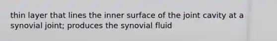 thin layer that lines the inner surface of the joint cavity at a synovial joint; produces the synovial fluid