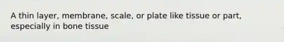 A thin layer, membrane, scale, or plate like tissue or part, especially in bone tissue