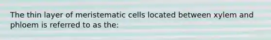 The thin layer of meristematic cells located between xylem and phloem is referred to as the: