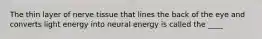 The thin layer of nerve tissue that lines the back of the eye and converts light energy into neural energy is called the ____