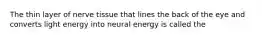 The thin layer of nerve tissue that lines the back of the eye and converts light energy into neural energy is called the