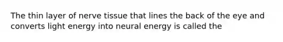 The thin layer of nerve tissue that lines the back of the eye and converts light energy into neural energy is called the