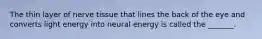 The thin layer of nerve tissue that lines the back of the eye and converts light energy into neural energy is called the _______.