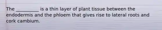 The __________ is a thin layer of plant tissue between the endodermis and the phloem that gives rise to lateral roots and cork cambium.