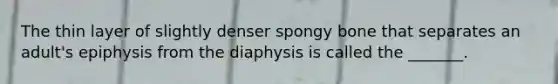 The thin layer of slightly denser spongy bone that separates an adult's epiphysis from the diaphysis is called the _______.