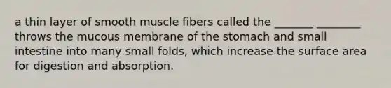 a thin layer of smooth muscle fibers called the _______ ________ throws the mucous membrane of the stomach and small intestine into many small folds, which increase the surface area for digestion and absorption.