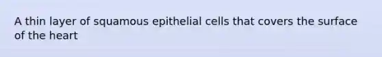 A thin layer of squamous epithelial cells that covers the surface of the heart