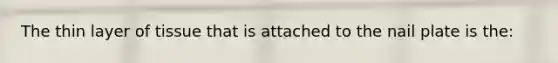 The thin layer of tissue that is attached to the nail plate is the: