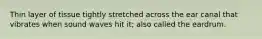 Thin layer of tissue tightly stretched across the ear canal that vibrates when sound waves hit it; also called the eardrum.