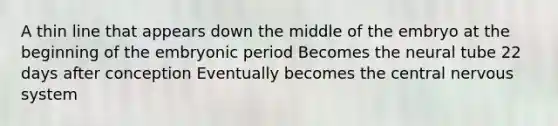 A thin line that appears down the middle of the embryo at the beginning of the embryonic period Becomes the neural tube 22 days after conception Eventually becomes the central nervous system