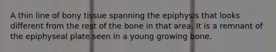 A thin line of bony tissue spanning the epiphysis that looks different from the rest of the bone in that area. It is a remnant of the epiphyseal plate seen in a young growing bone.