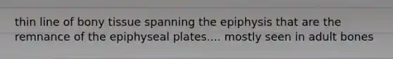 thin line of bony tissue spanning the epiphysis that are the remnance of the epiphyseal plates.... mostly seen in adult bones