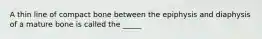 A thin line of compact bone between the epiphysis and diaphysis of a mature bone is called the _____