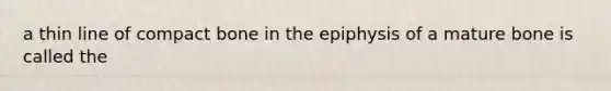 a thin line of compact bone in the epiphysis of a mature bone is called the