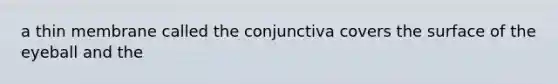 a thin membrane called the conjunctiva covers the surface of the eyeball and the