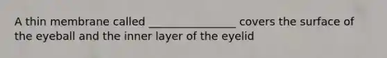 A thin membrane called ________________ covers the surface of the eyeball and the inner layer of the eyelid
