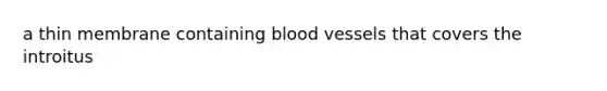 a thin membrane containing <a href='https://www.questionai.com/knowledge/kZJ3mNKN7P-blood-vessels' class='anchor-knowledge'>blood vessels</a> that covers the introitus