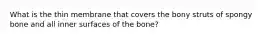 What is the thin membrane that covers the bony struts of spongy bone and all inner surfaces of the bone?