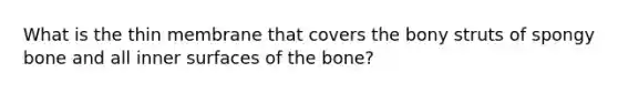 What is the thin membrane that covers the bony struts of spongy bone and all inner surfaces of the bone?