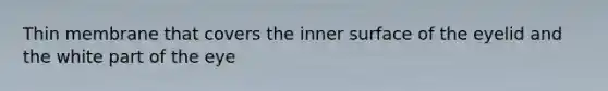 Thin membrane that covers the inner surface of the eyelid and the white part of the eye