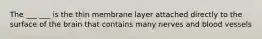 The ___ ___ is the thin membrane layer attached directly to the surface of the brain that contains many nerves and blood vessels