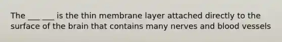 The ___ ___ is the thin membrane layer attached directly to the surface of the brain that contains many nerves and blood vessels