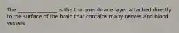 The _______ ________ is the thin membrane layer attached directly to the surface of the brain that contains many nerves and blood vessels