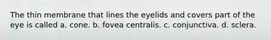 The thin membrane that lines the eyelids and covers part of the eye is called a. cone. b. fovea centralis. c. conjunctiva. d. sclera.