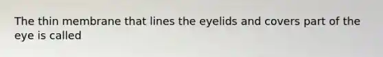 The thin membrane that lines the eyelids and covers part of the eye is called