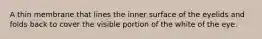 A thin membrane that lines the inner surface of the eyelids and folds back to cover the visible portion of the white of the eye.