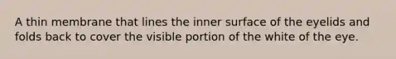 A thin membrane that lines the inner surface of the eyelids and folds back to cover the visible portion of the white of the eye.