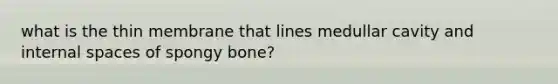 what is the thin membrane that lines medullar cavity and internal spaces of spongy bone?