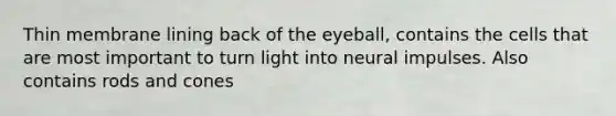 Thin membrane lining back of the eyeball, contains the cells that are most important to turn light into neural impulses. Also contains rods and cones