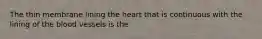 The thin membrane lining the heart that is continuous with the lining of the blood vessels is the