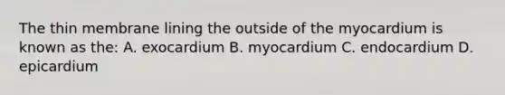 The thin membrane lining the outside of the myocardium is known as the: A. exocardium B. myocardium C. endocardium D. epicardium