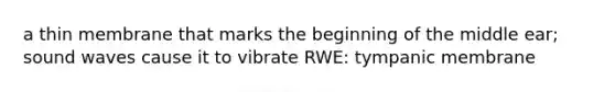 a thin membrane that marks the beginning of the middle ear; sound waves cause it to vibrate RWE: tympanic membrane