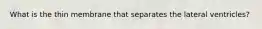 What is the thin membrane that separates the lateral ventricles?