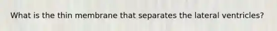 What is the thin membrane that separates the lateral ventricles?
