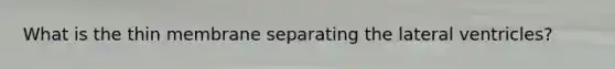 What is the thin membrane separating the lateral ventricles?