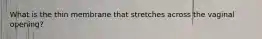 What is the thin membrane that stretches across the vaginal opening?