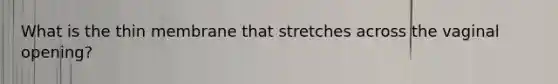 What is the thin membrane that stretches across the vaginal opening?