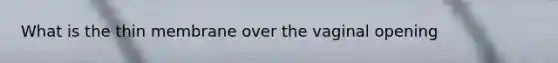 What is the thin membrane over the vaginal opening