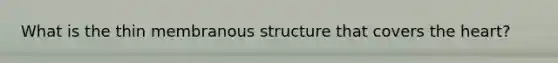 What is the thin membranous structure that covers the heart?