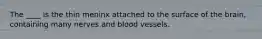 The ____ is the thin meninx attached to the surface of the brain, containing many nerves and blood vessels.