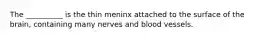 The __________ is the thin meninx attached to the surface of the brain, containing many nerves and blood vessels.