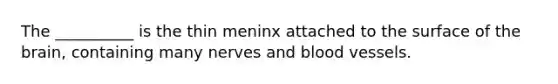 The __________ is the thin meninx attached to the surface of <a href='https://www.questionai.com/knowledge/kLMtJeqKp6-the-brain' class='anchor-knowledge'>the brain</a>, containing many nerves and <a href='https://www.questionai.com/knowledge/kZJ3mNKN7P-blood-vessels' class='anchor-knowledge'>blood vessels</a>.