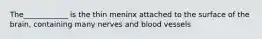 The____________ is the thin meninx attached to the surface of the brain, containing many nerves and blood vessels